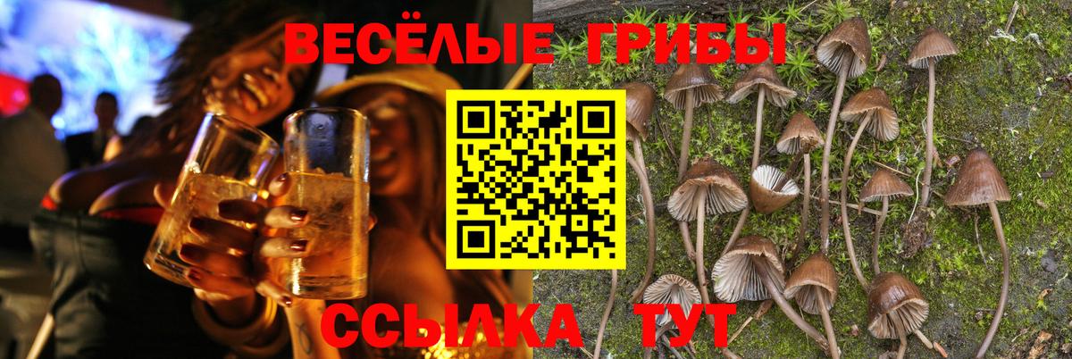 Петрозаводск  Псилоцибиновые грибы Magic Shrooms  Галлюциногенные грибы прущие грибы  Вход с VPN 